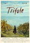 Truffle